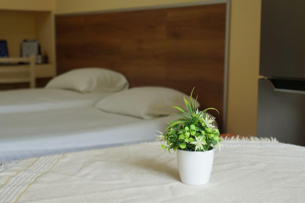 Alle'S M Shyri Studio Apartment Tirana Kültér fotó