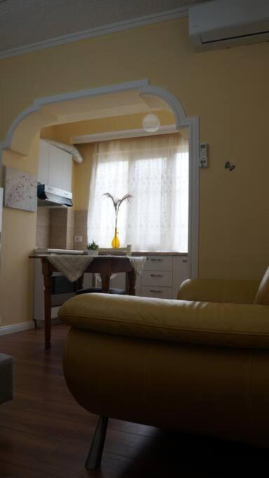 Alle'S M Shyri Studio Apartment Tirana Kültér fotó