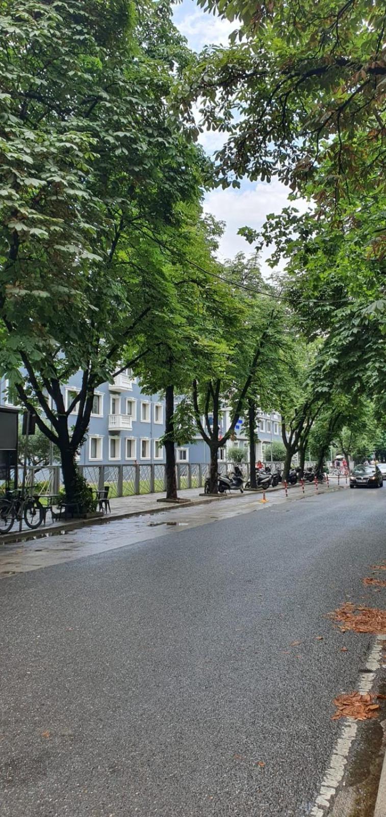 Alle'S M Shyri Studio Apartment Tirana Kültér fotó